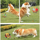 🐾🔔         Brinquedo Interativo com Sinos – Limpeza dos Dentes